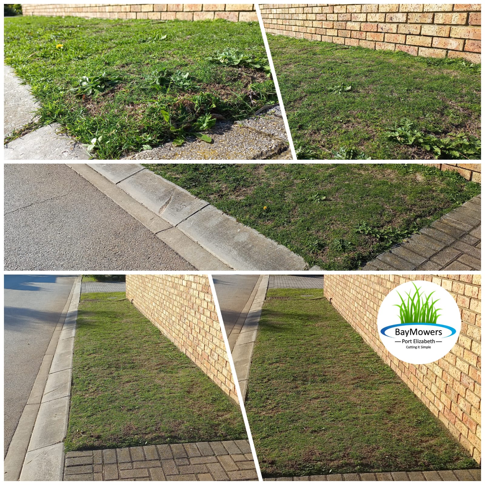 Before After Clients