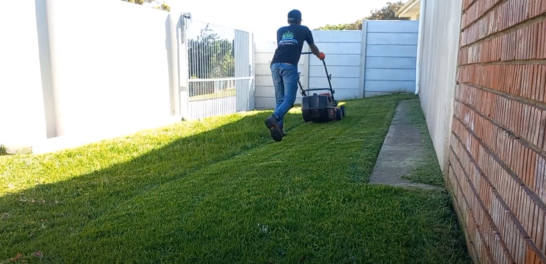Mowing Lines